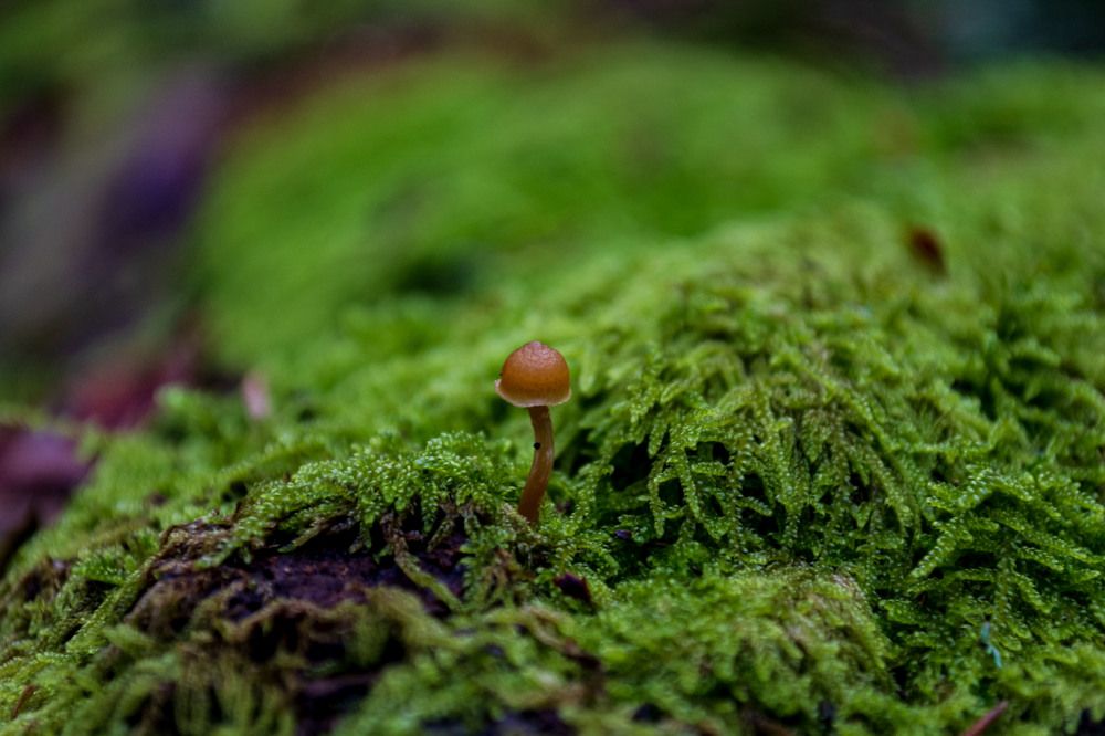 Photograph by Jelena Krsmanović