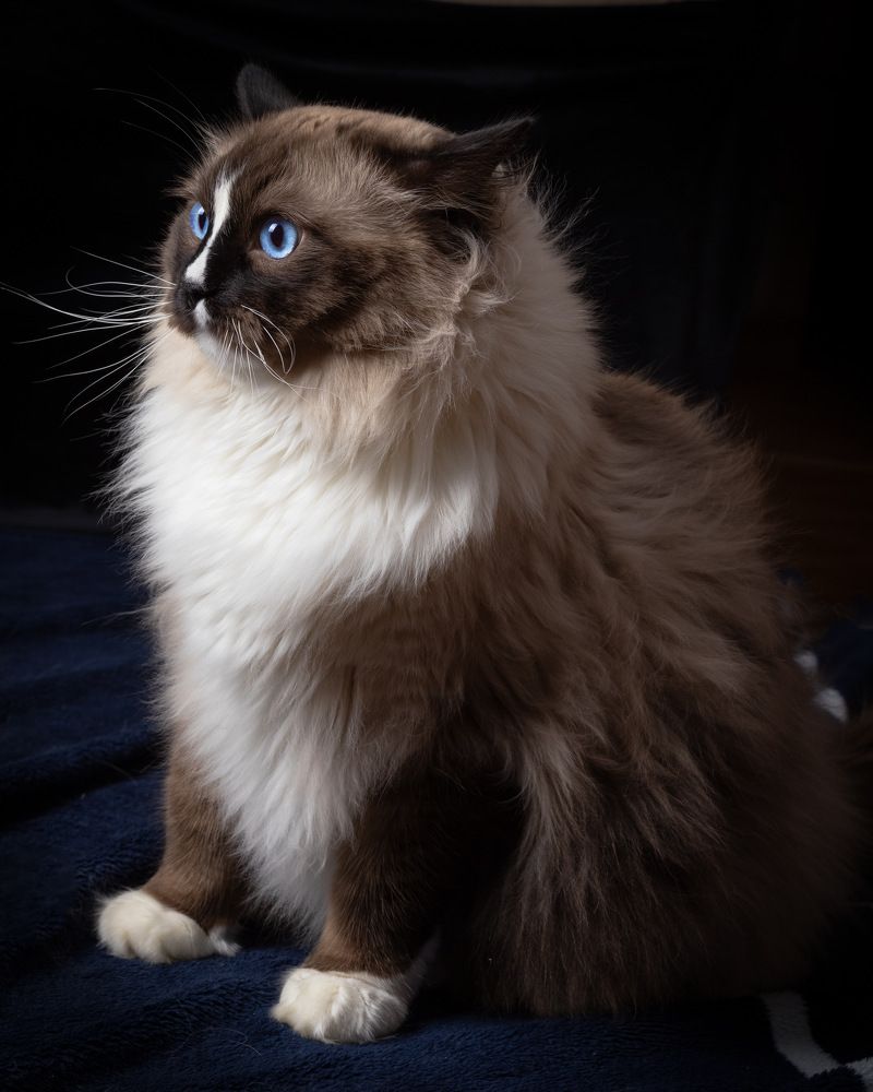 Фотография автора Наталья Якушонок