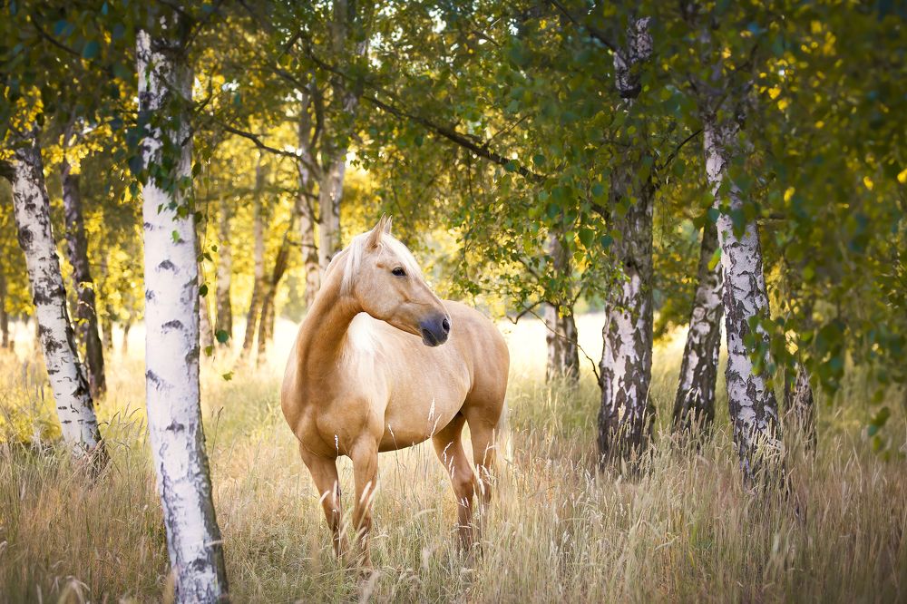 Photograph by Sina Möller