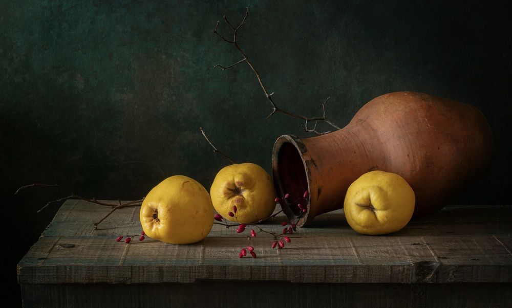 Photograph by Тришина Галина