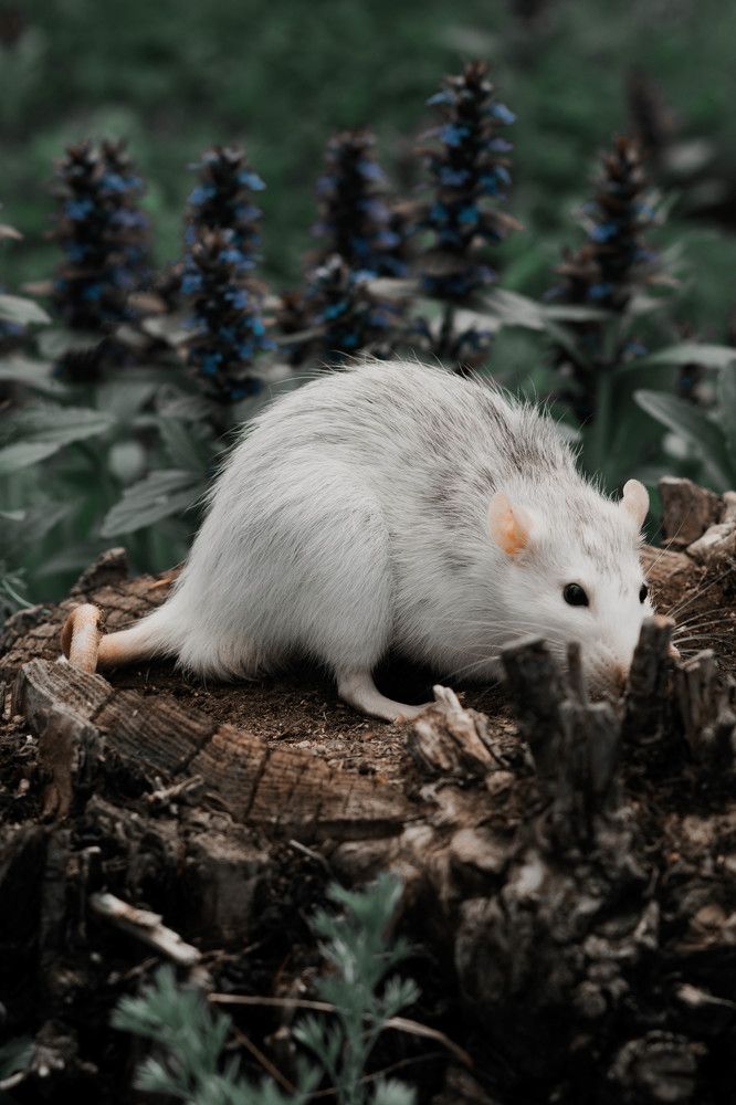 Photograph by Tatiana Fox