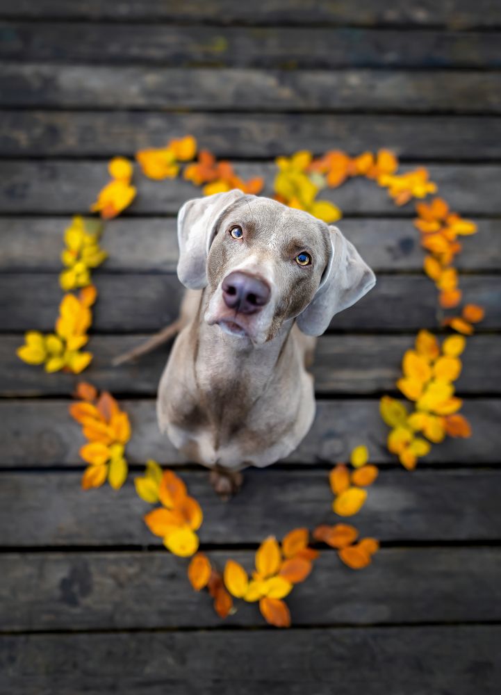 Photograph by Sina Möller