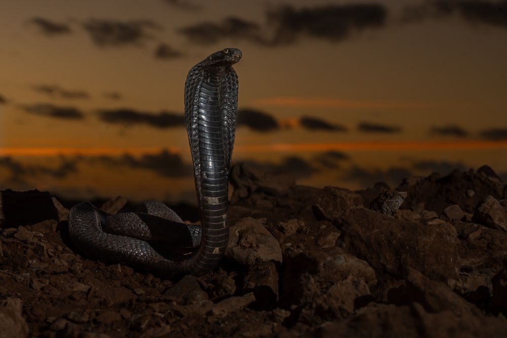 Photograph by Владимир Цветов