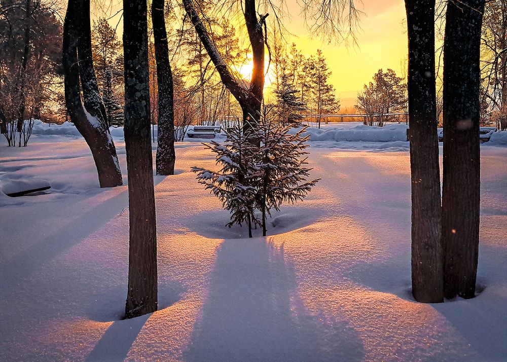 Photograph by Сергей Шварцман