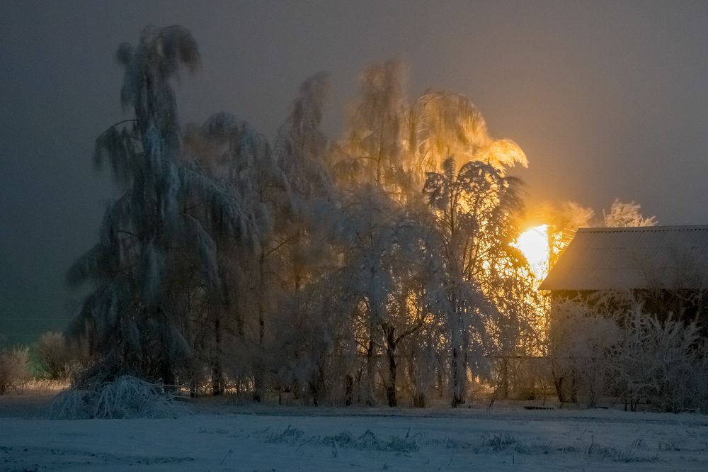 Photograph by Сергей Конюшенко