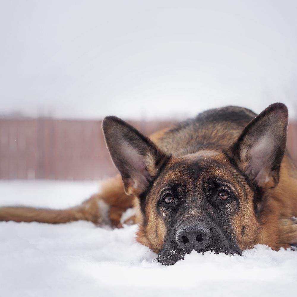 Photograph by Кристина Пушкина