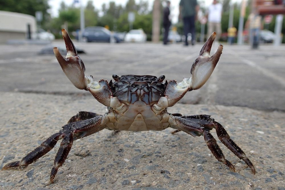 Photograph by Андрей Анатольевич