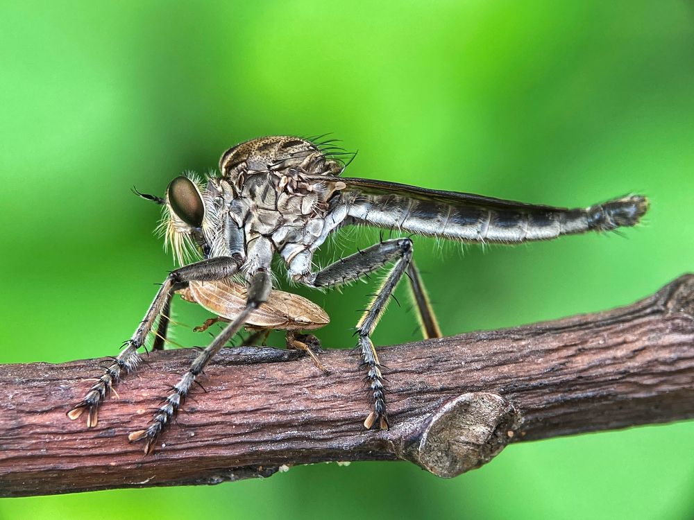 Photograph by Abhijit Roy