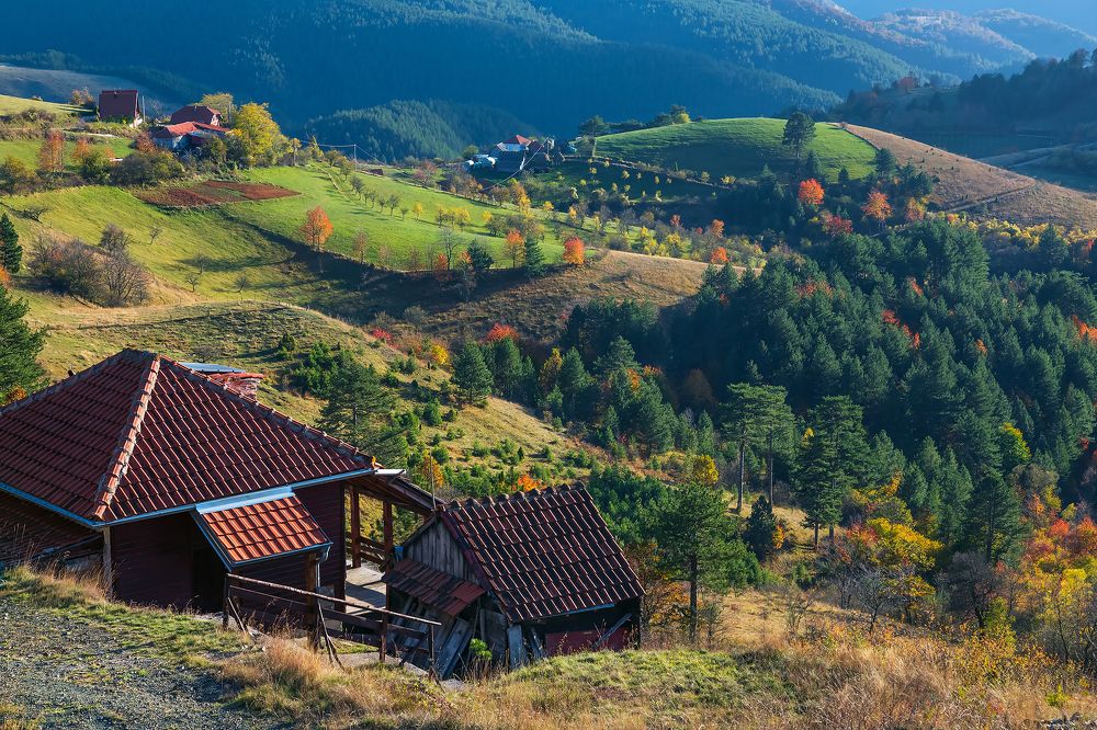 Dobroselica village in October | Деревня Доброселица в октябре. Сербия. 2023
