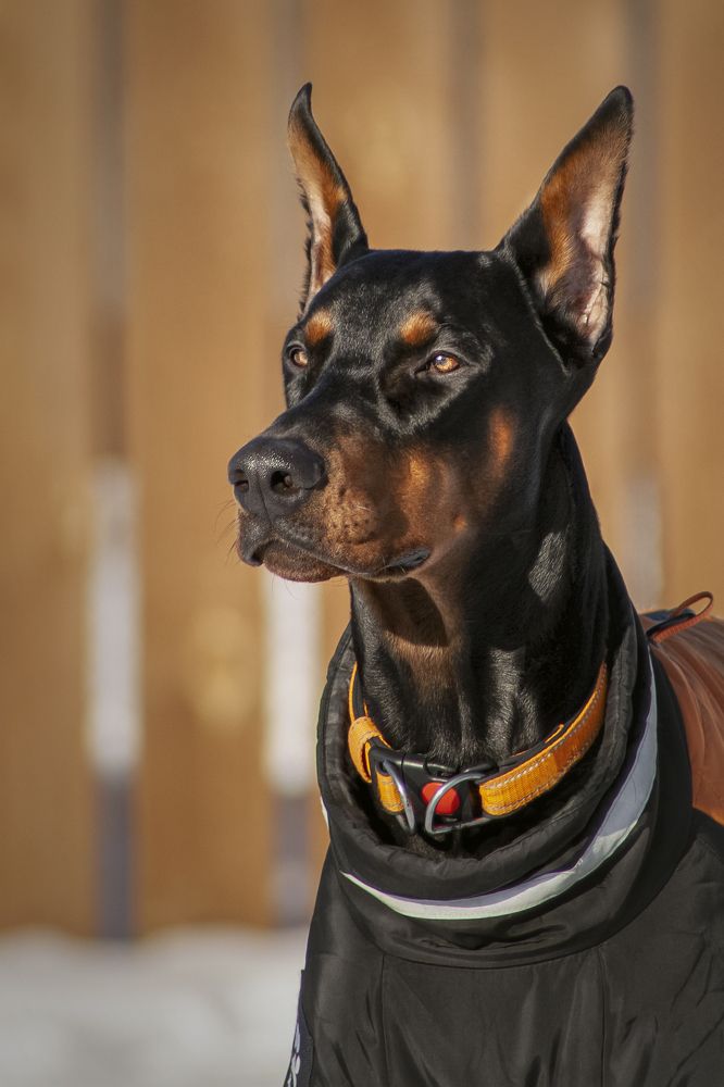 Photograph by Кристина Пушкина