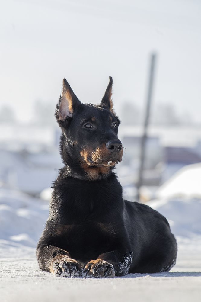 Photograph by Кристина Пушкина