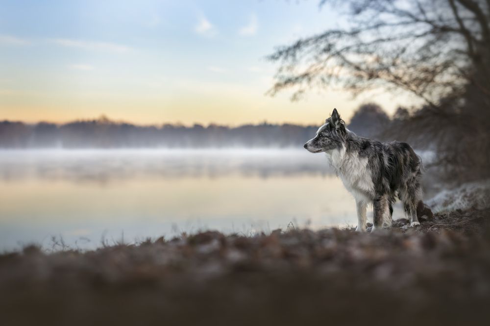 Photograph by Johanna Mehrke