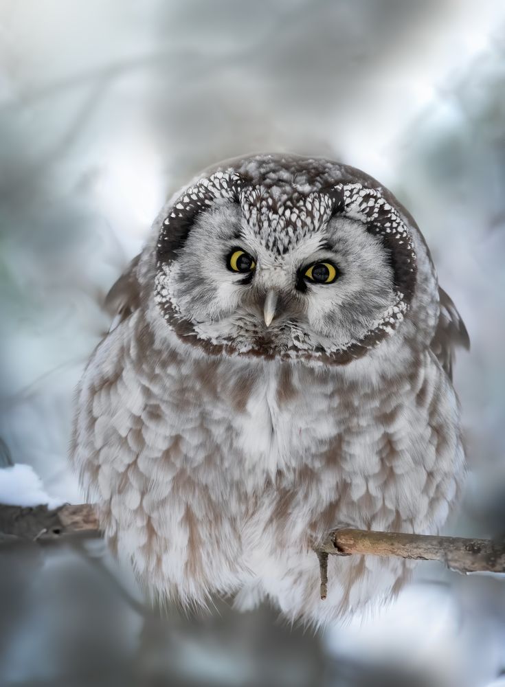 Photograph by Дарья