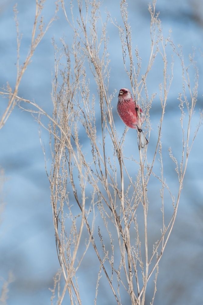Photograph by Давыдова Гульгена