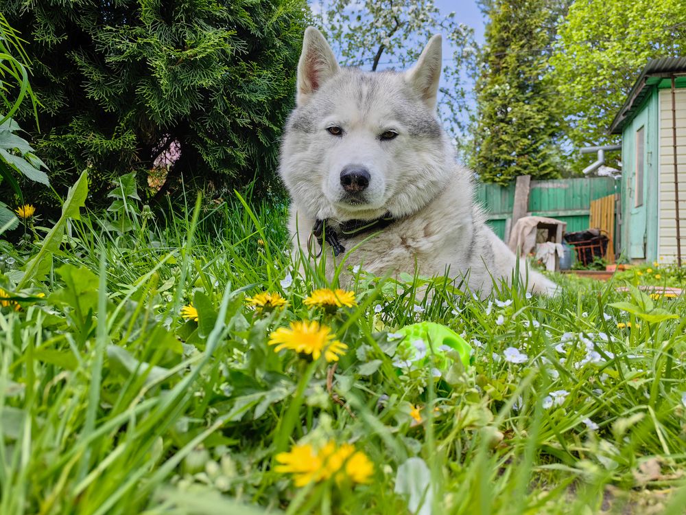 Photograph by Владимир