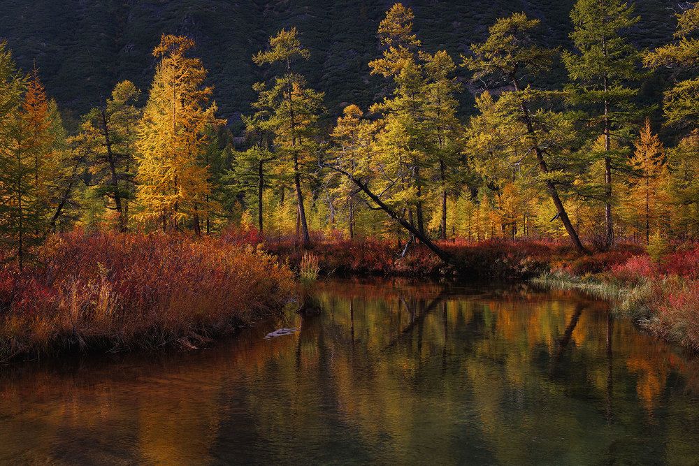 Photograph by Морозов Сергей