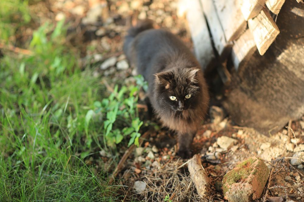 Photograph by Valeriy Bogushev