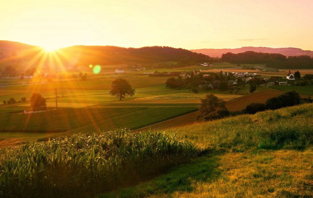 Photograph by Elena Wymann