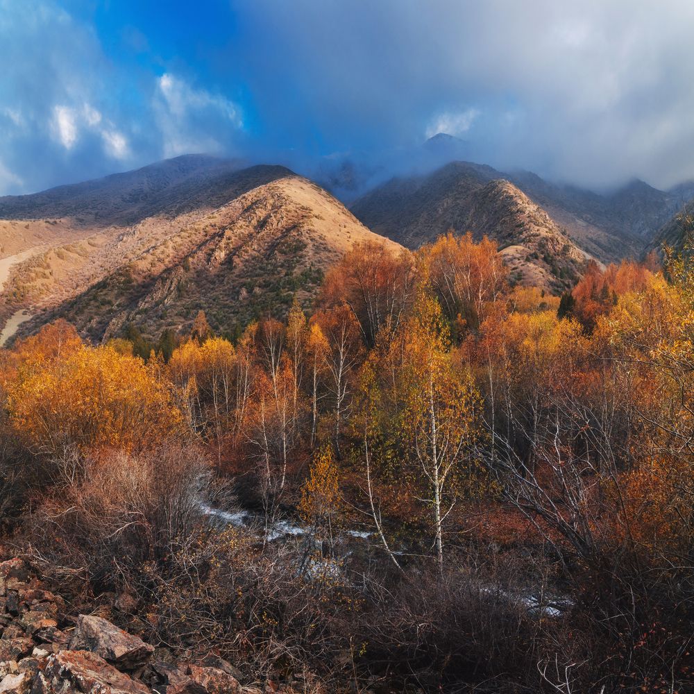 Photograph by Александр Корчагин