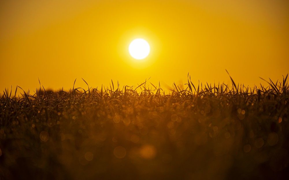 Photograph by Игорь Скорняков