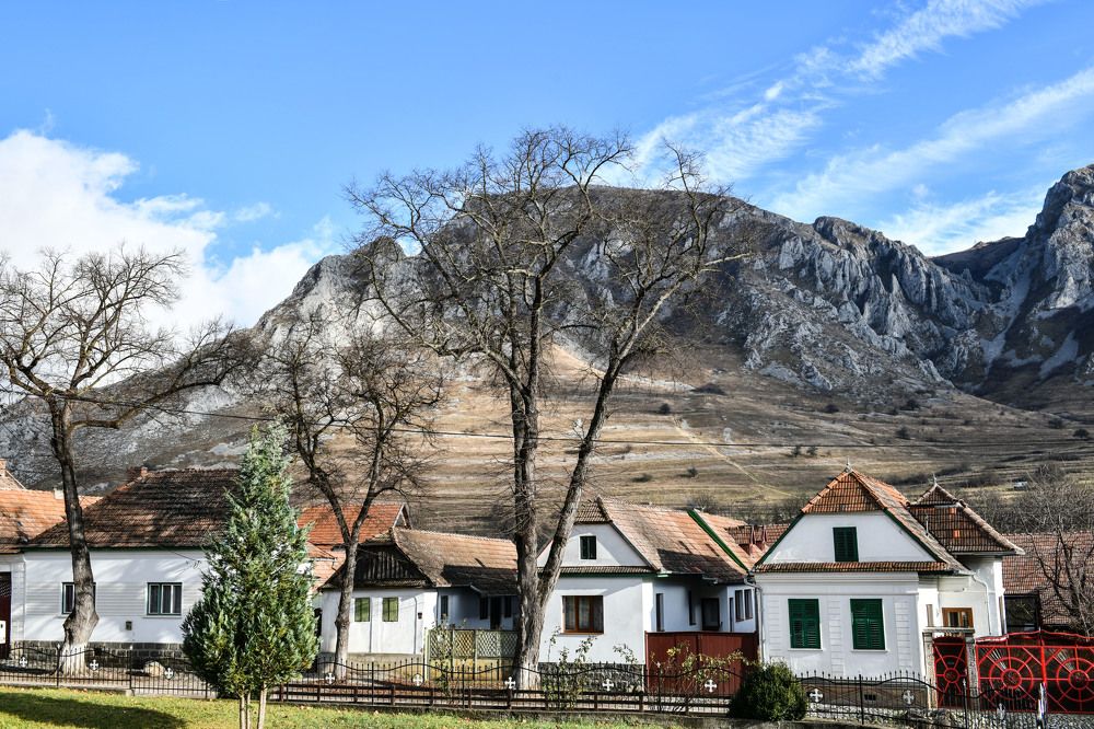 Photograph by Ovidiu GABOR