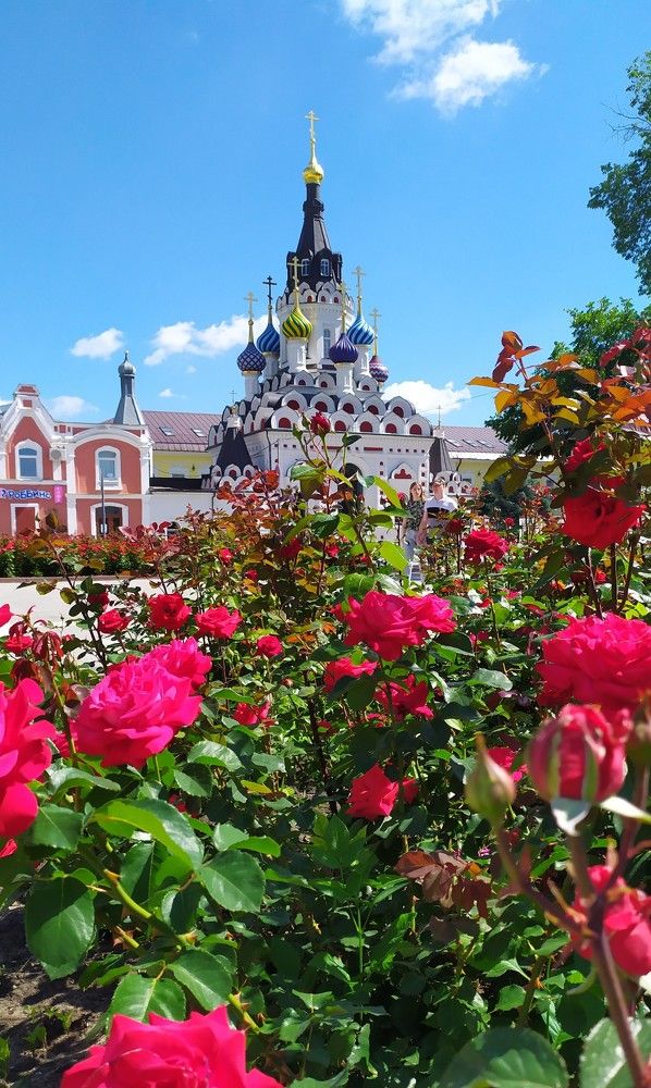 Фотография автора Анастасия Демина