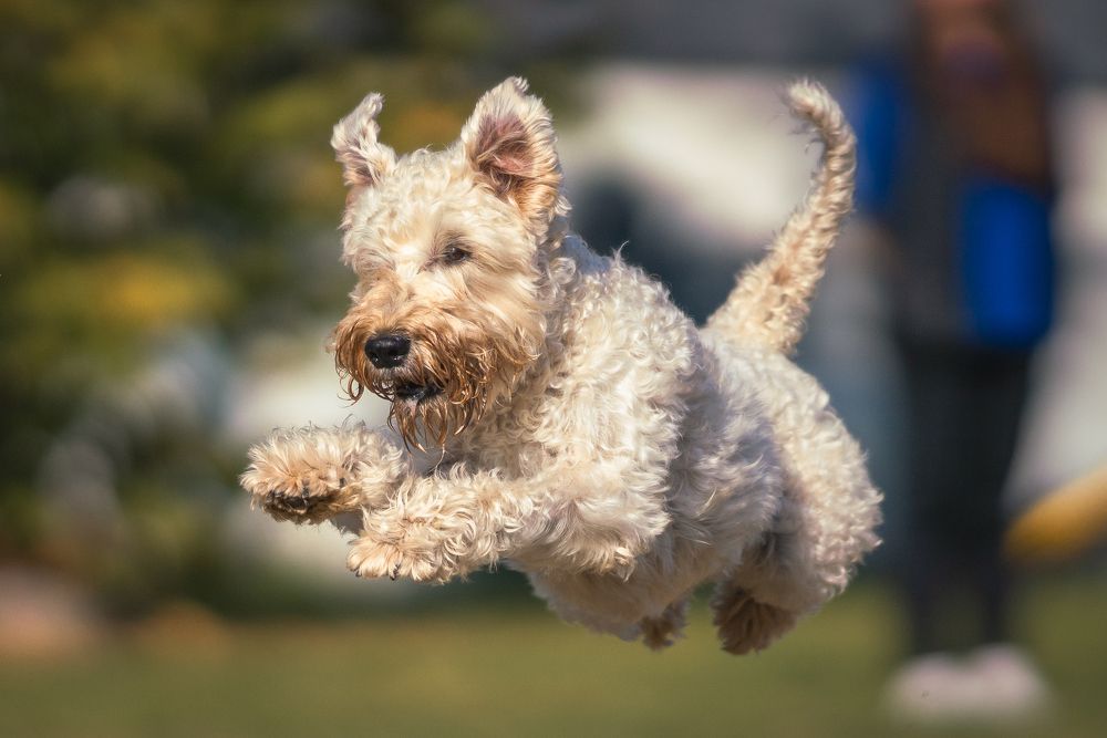 Photograph by Даниил Гладышев