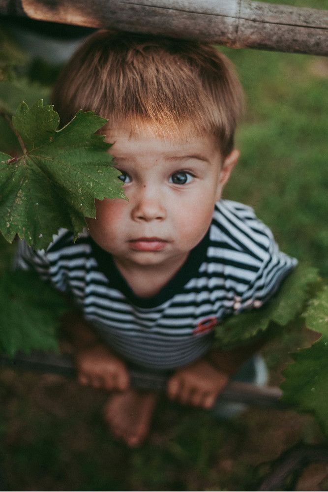 Photograph by Margarita