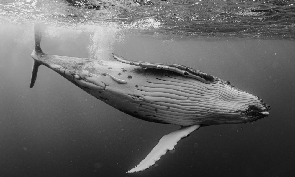 A Perfect Soothing Day