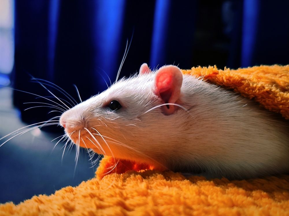 Photograph by Diana Kozlova