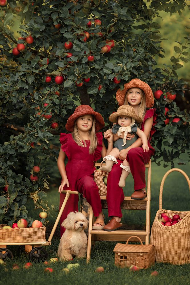 Собираем урожай!