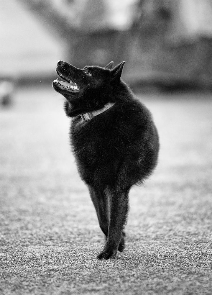 Photograph by Даниил Гладышев