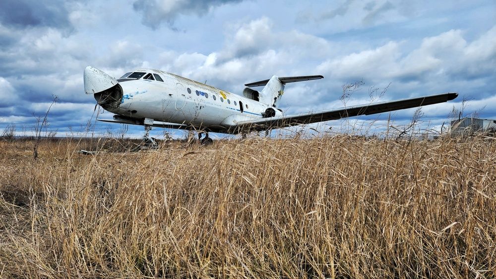 Photograph by Кравец наталья