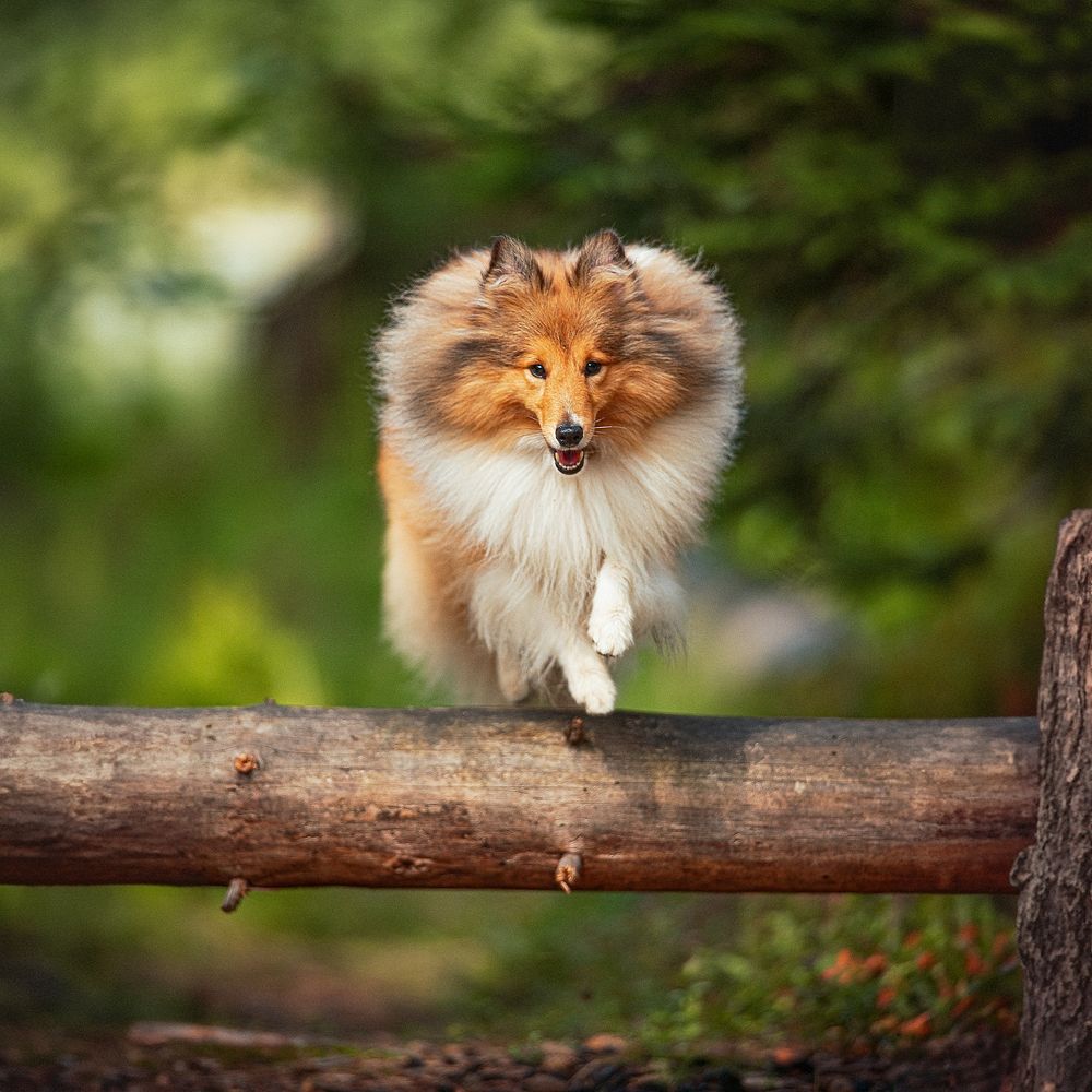 Photograph by Даниил Гладышев