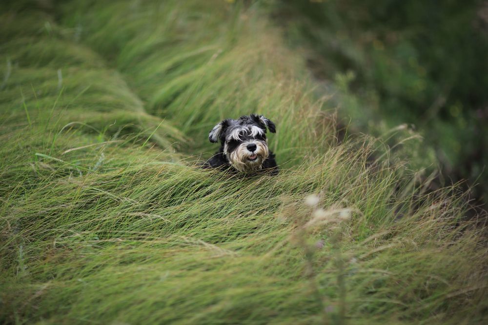 Photograph by Valeriy Bogushev
