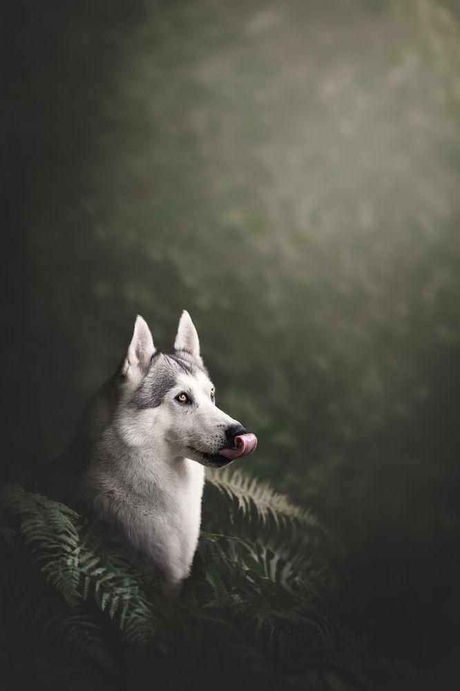 Фотография автора Rut Casanellas