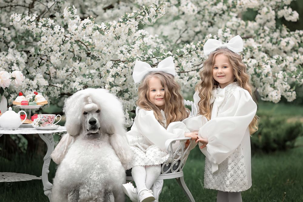 Чаепитие в цветении...