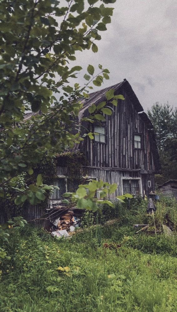 Photograph by Диана Бадеева