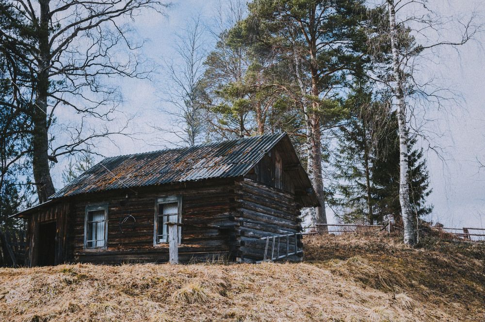 Photograph by Георгий Дружинин