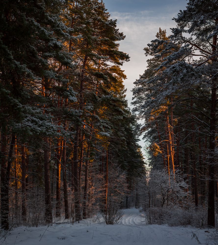 Фотография автора Roman Mishukov