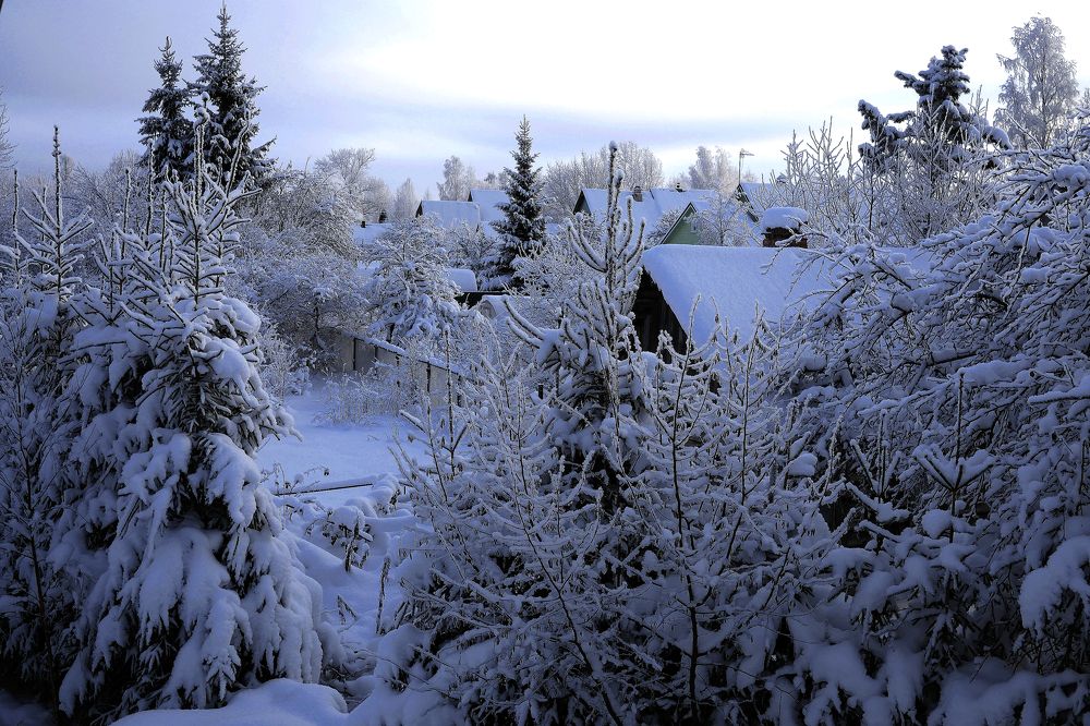 Photograph by Александр Пинаев