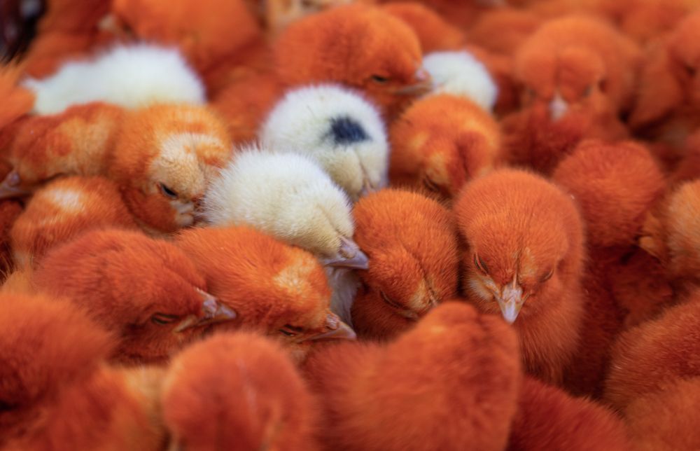 Фотография автора Marina Motey