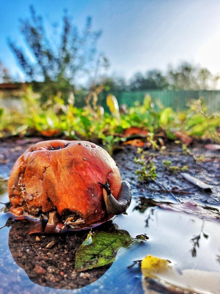 Photograph by Ксения Цветкова