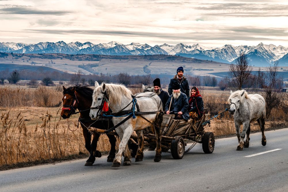 Photograph by Kovacs Robert