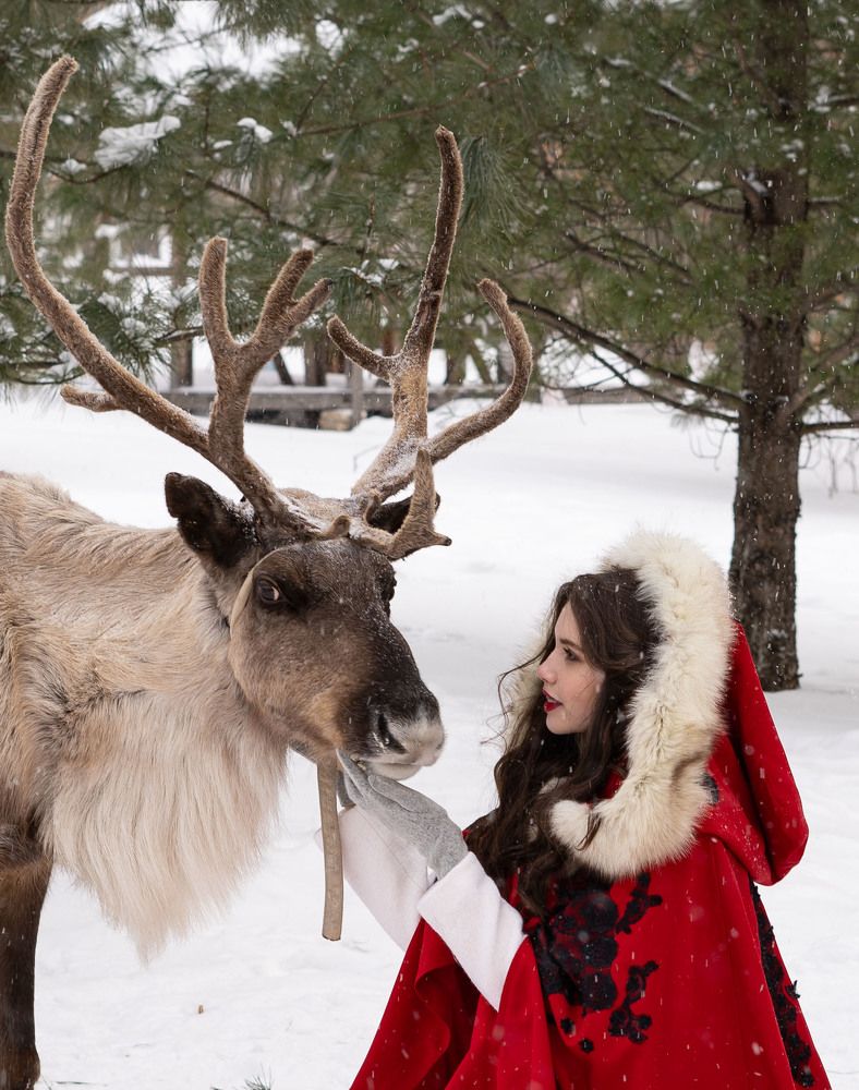 Фотография автора Ирина