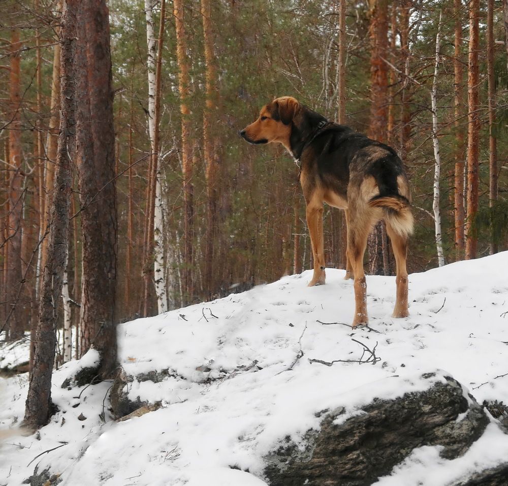 Photograph by Нина