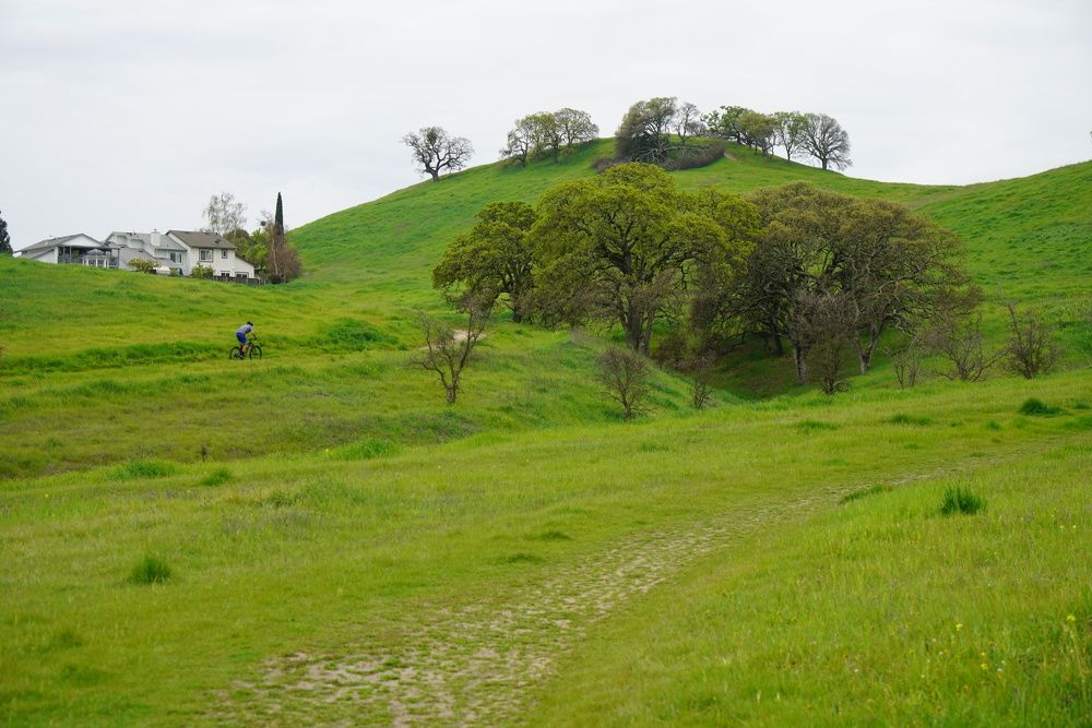 Photograph by Владимир Гречанинов