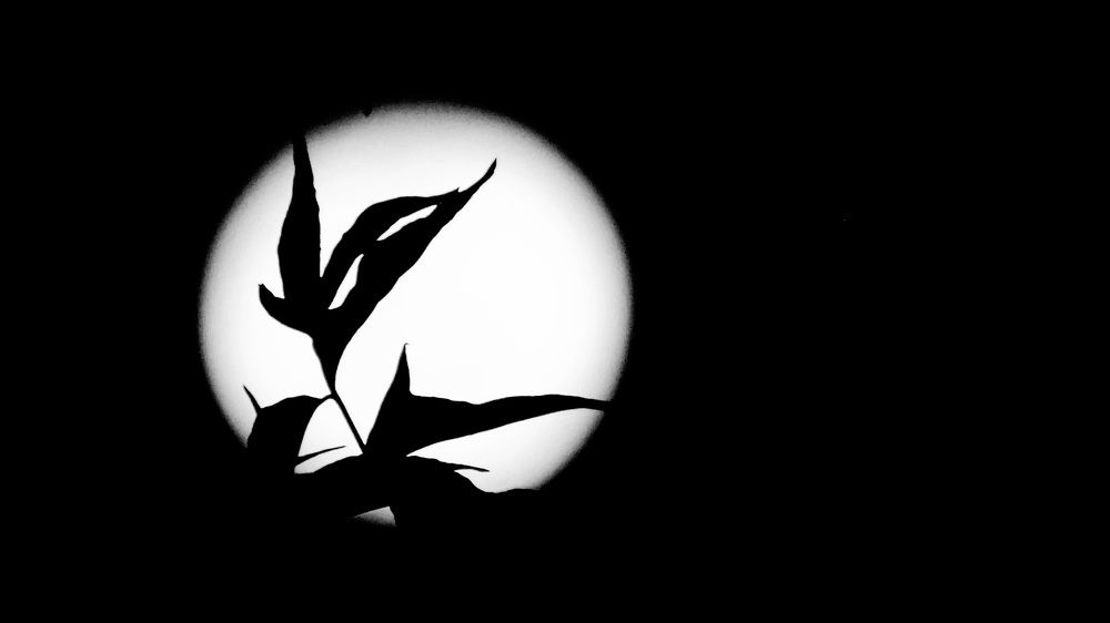 Photograph by Aliaksei Sauko