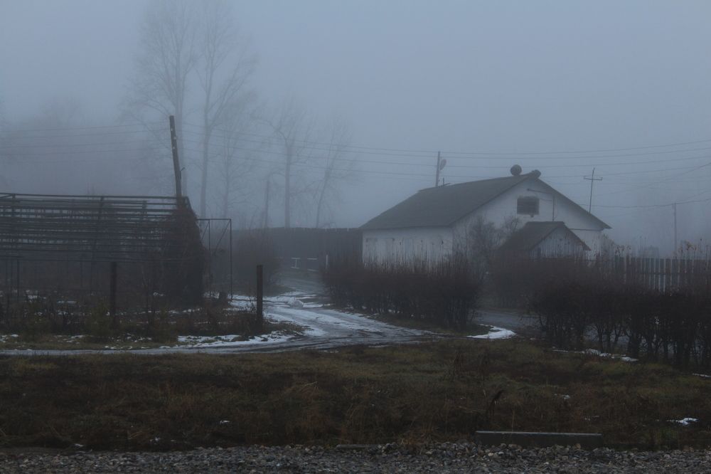 Photograph by Елена Змейкова