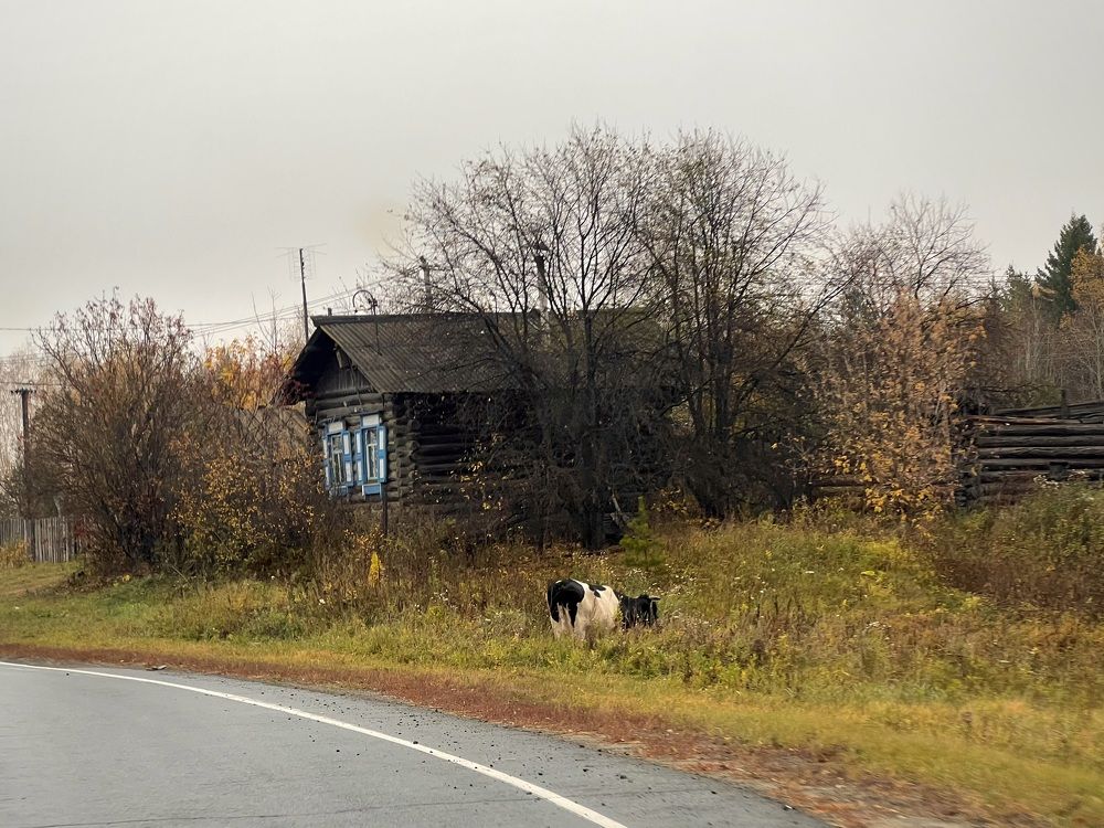 Photograph by Елена Змейкова